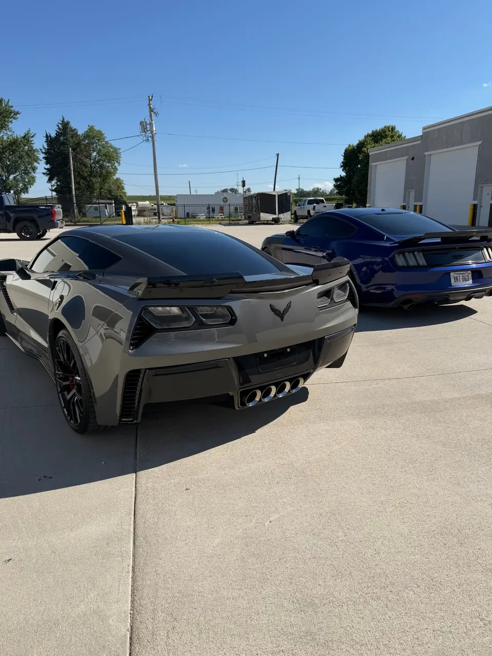 Corvette and Mustang with professionally tinted windows